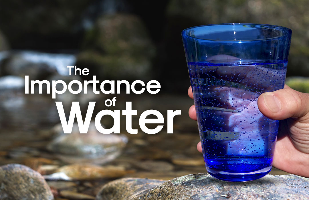 alive water - vortex water revitalizer - the importance of water