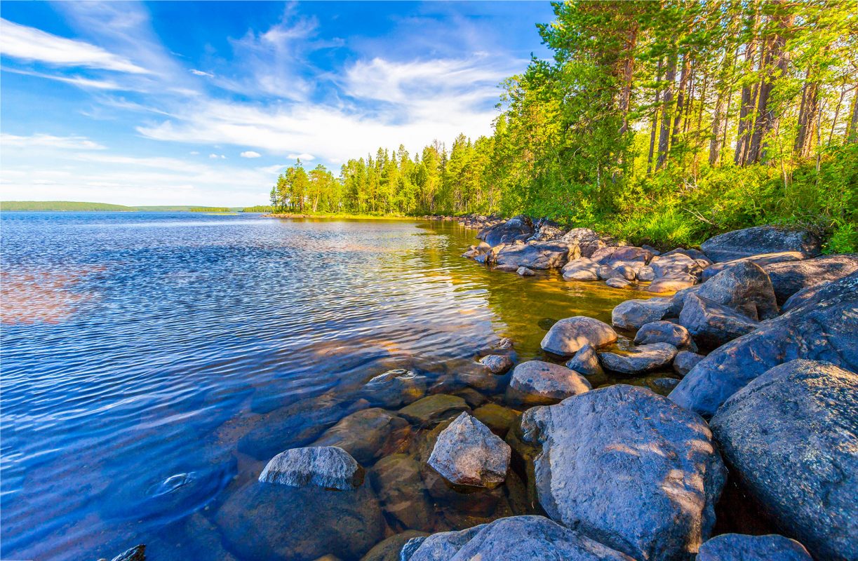 Clean River with trees