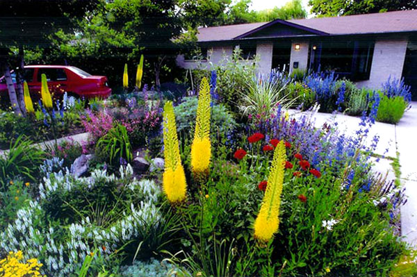 don colorado flower garden