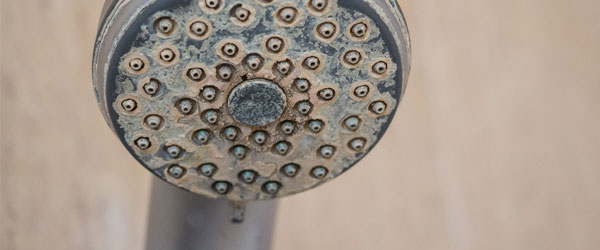 hard water stains from shower