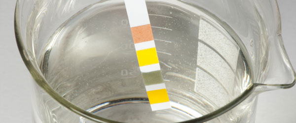 Checking ph level of the water in a glass container