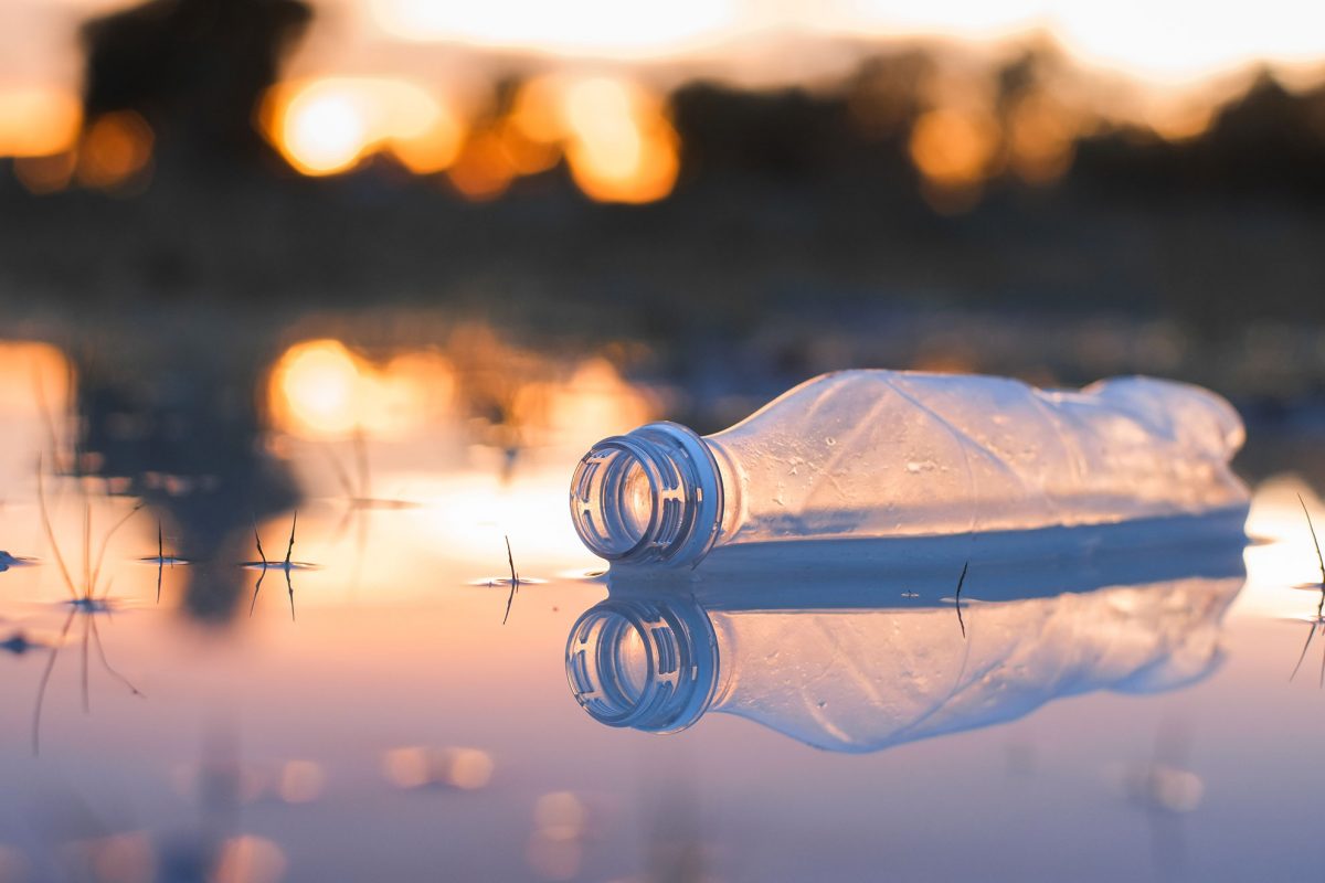 plastic bottles