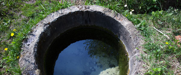 water well with grass and flowers