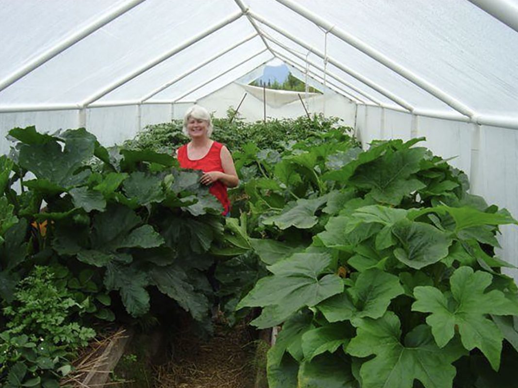 vegetable production using vortex structured water revitalizer