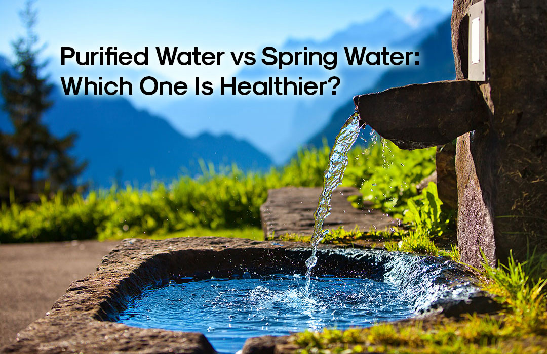 purified water vs spring water