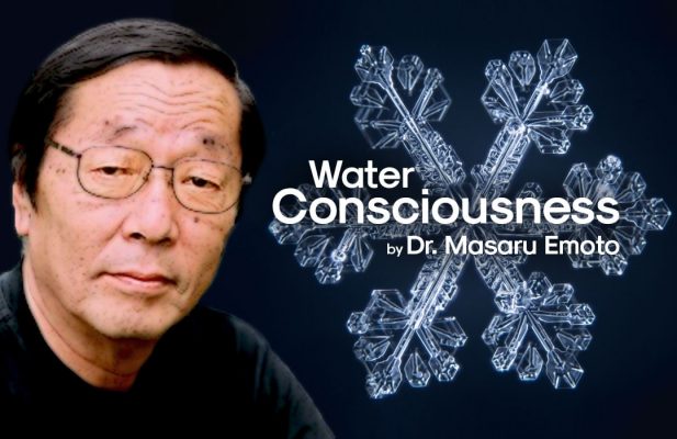 Water Experiment By Dr. Masaru Emoto