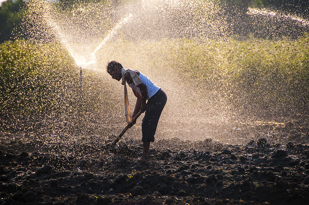 man watering plants with revitalized water - alivewater 