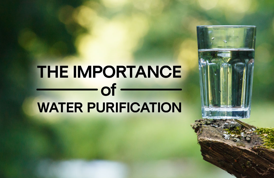 essay on water purification