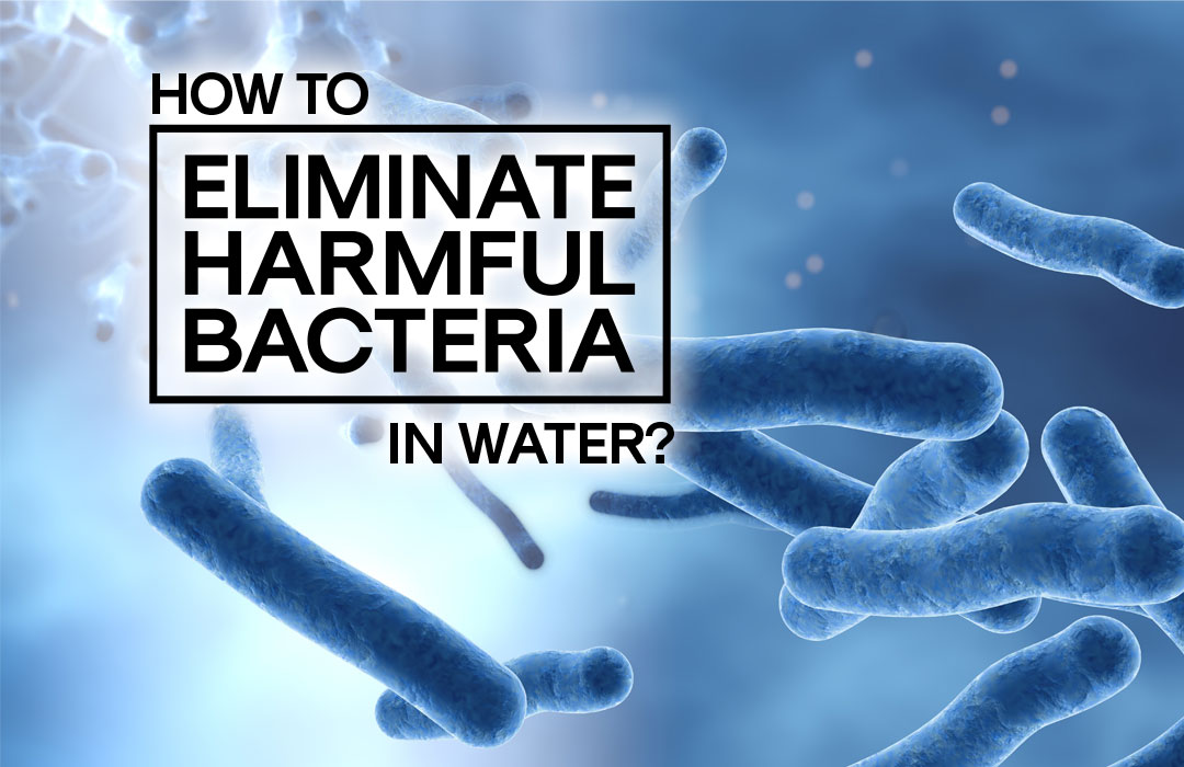 how to eliminate harmful bacteria in water