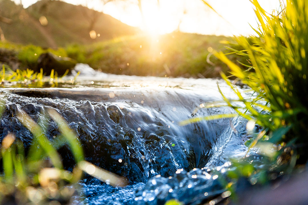 vortex water in nature 