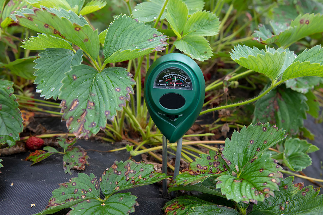 pH of structured water for plants 