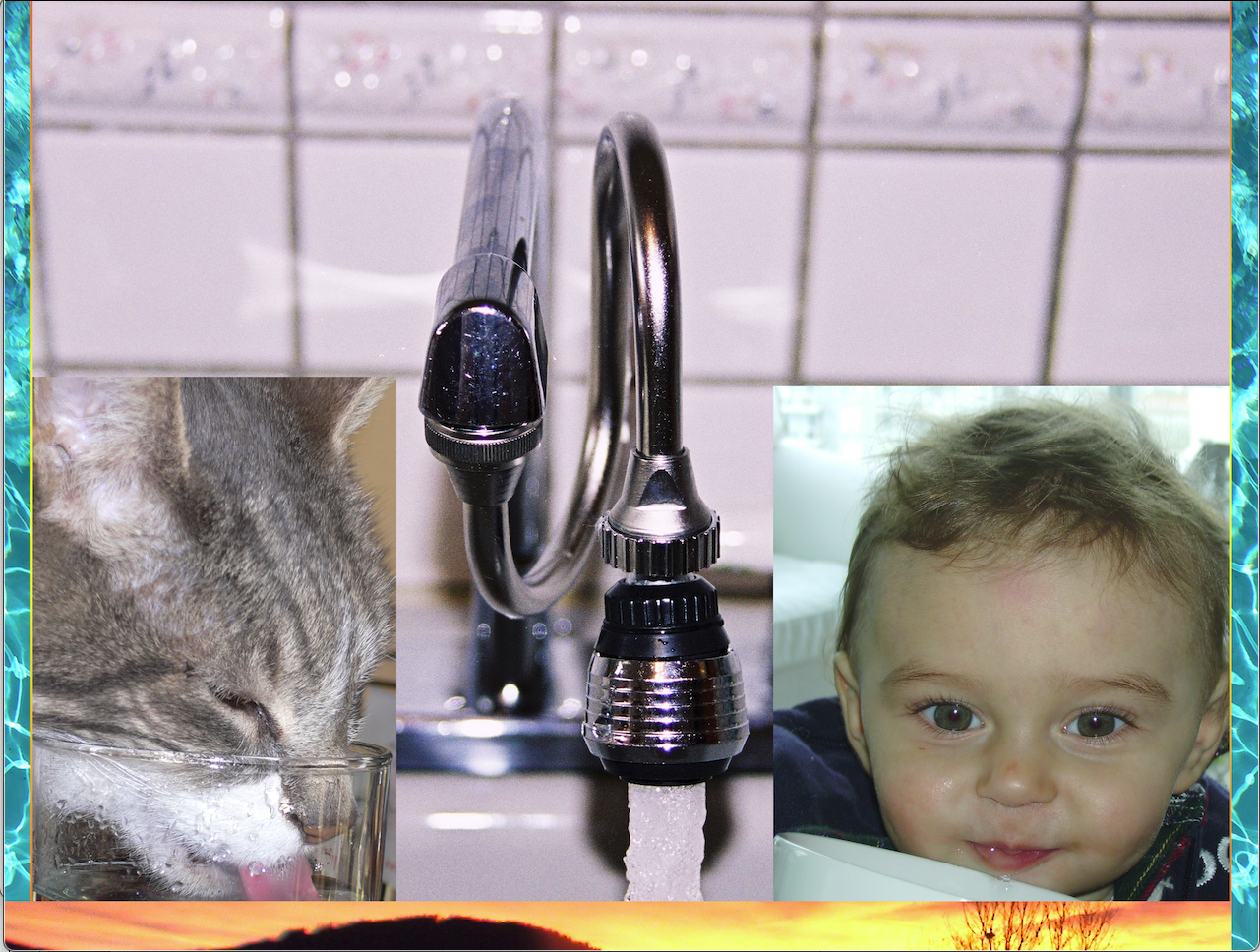 Both Children and Cats know good water when they drink it.